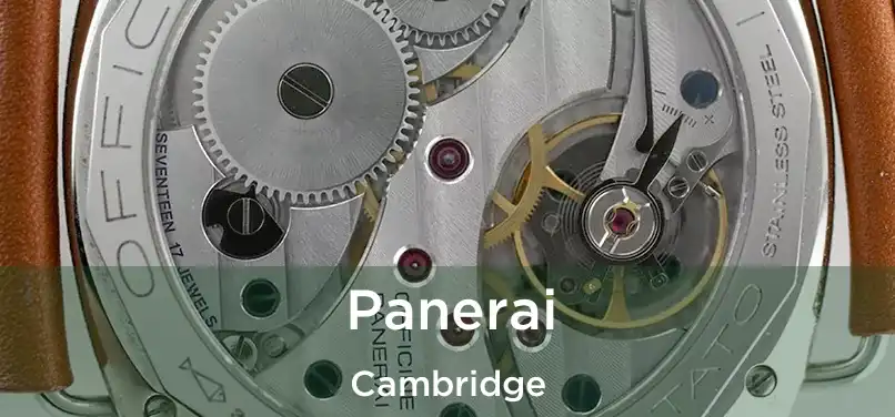 Panerai Cambridge